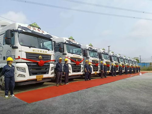 交付50輛 汕德卡護(hù)航東莞?；\(yùn)輸效贏一路動(dòng)物飼養(yǎng)